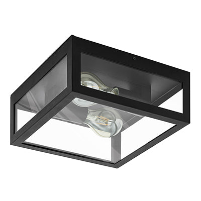 Amezola 2LT Ceiling Light