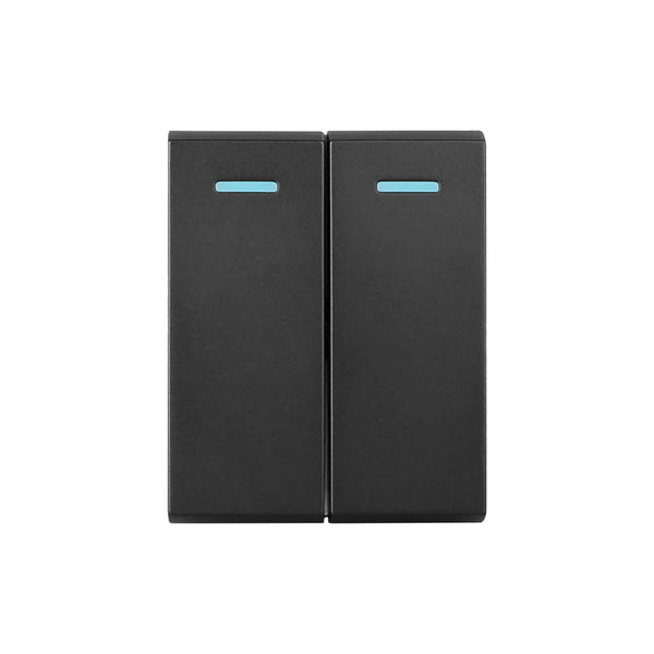 (1/2) SYNERJI MODULE 2LEVER 2-WAY