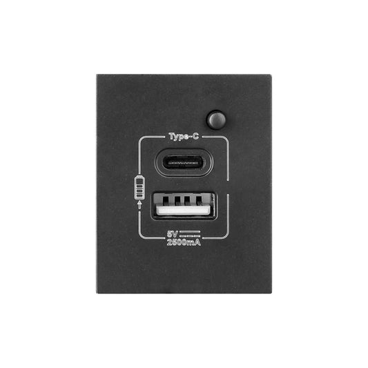 (1/2) SYNERJI MODULE USB SOCKET(TYPE A+ TYPE C)