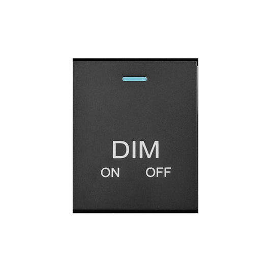 （1/2) SYNERJI MODULE DIM ON/OFF