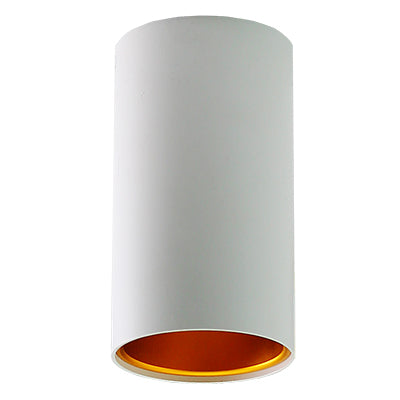 Surface mounted down light (medium)